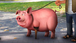 Le cochon à la patte de bois